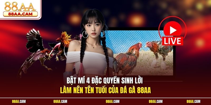 Bật mí 4 đặc quyền sinh lời làm nên tên tuổi của đá gà 88aa
